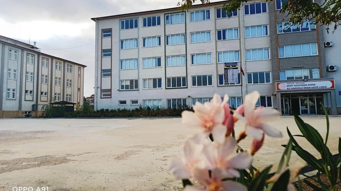 Şehit Süleyman Aydın Kız Anadolu İmam Hatip Lisesi Fotoğrafı